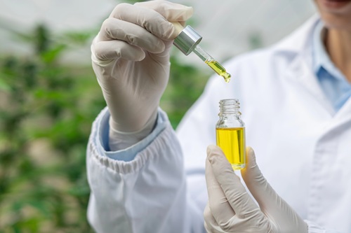 Medicina_Canabinoide_canabidiol_